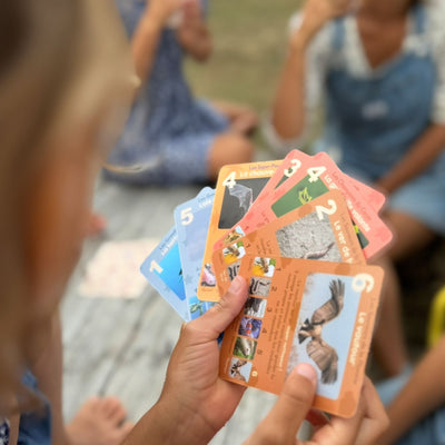 Cartes éventail animaux rigolos