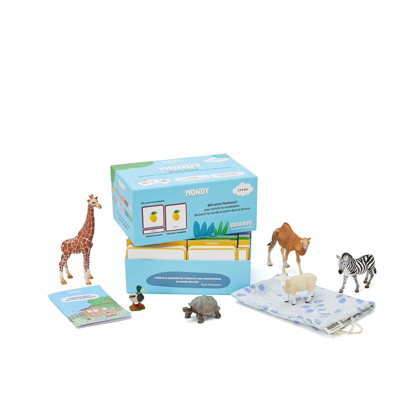 Giga Mondy, 600 cartes Montessori (ancien packaging)