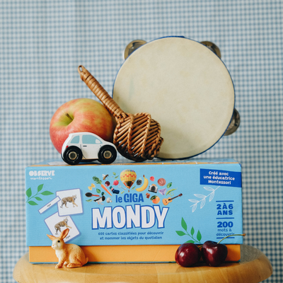 Giga Mondy, cartes de nomenclature Montessori