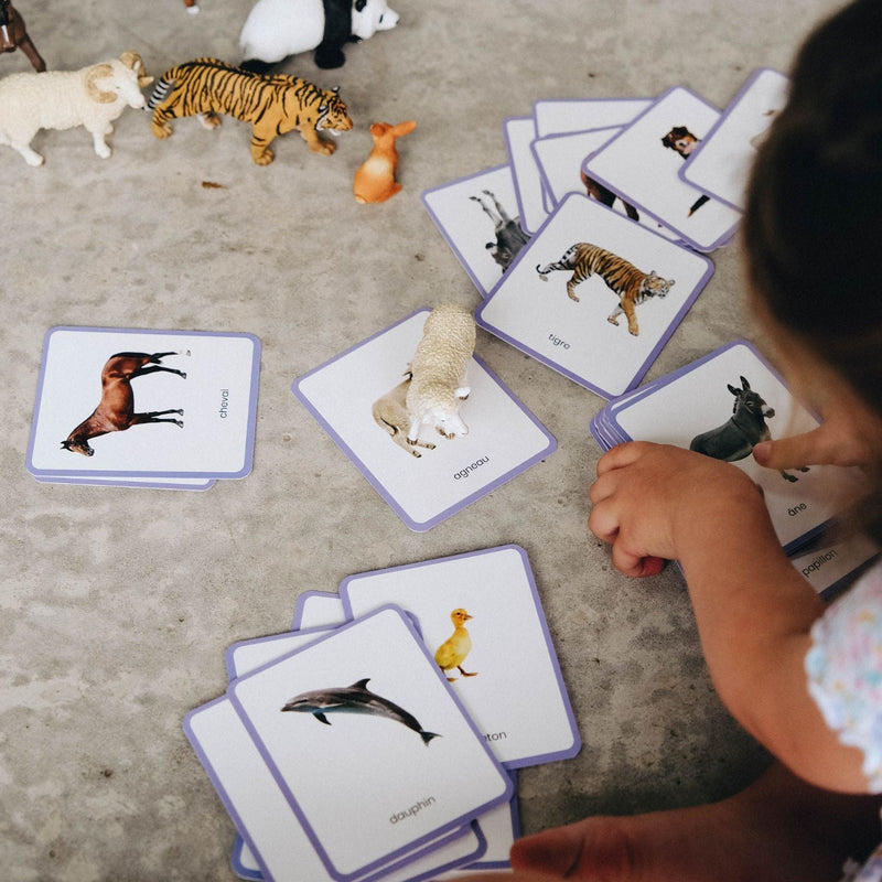 coffret mini mondy animaux jeu langage montessori et figurines
