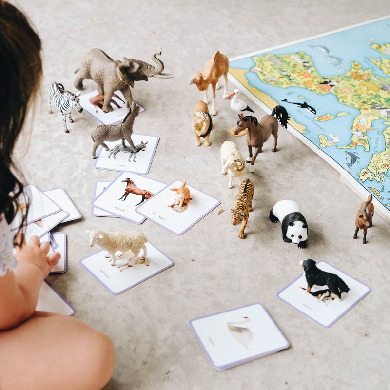 Cartes d'apprentissage en bois allemand Jouets Montessori Développement du  langage pour les enfants Cartes d'animaux Jouets Waldorf -  France