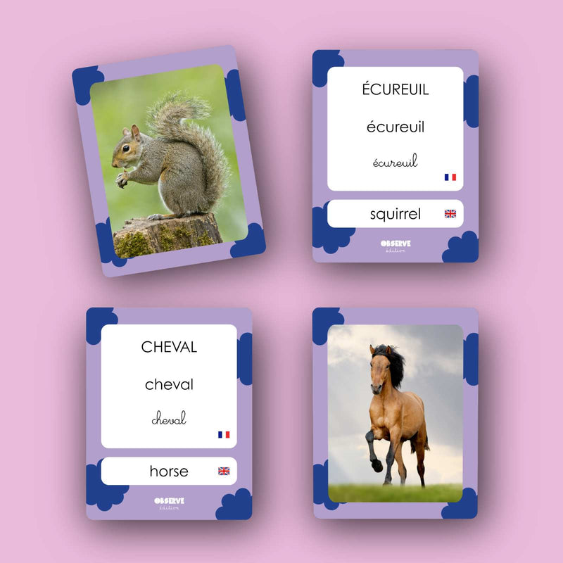 Nouveautes cartes flash Animaux