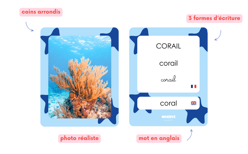cartes du pack océans