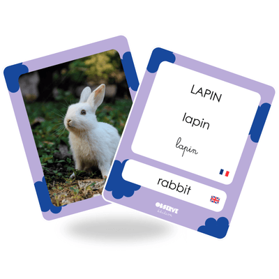 cartes flashcards animaux