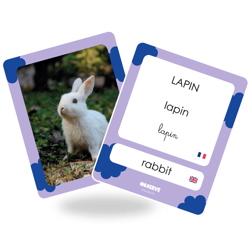 cartes flashcards animaux