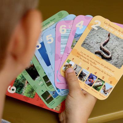cartes en éventail 