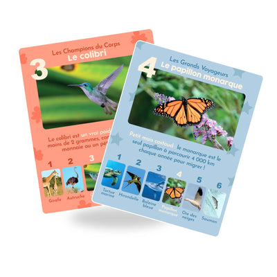 2 cartes du jeu les animaux rigolos
