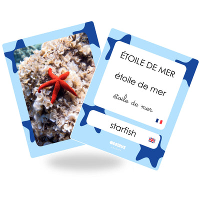 cartes océans 