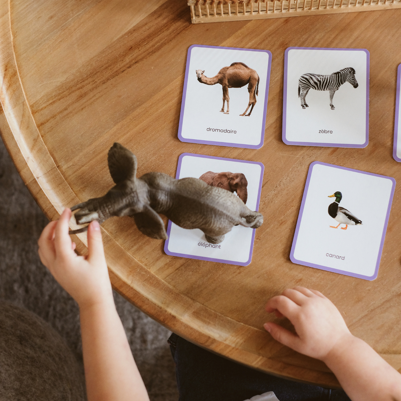 Idée d'activité Montessori dès 1 an : cartes de nomenclature animaux –  Manipani